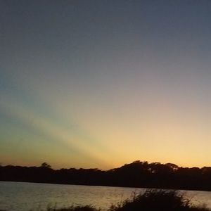 Meet your Posher, Carlisa